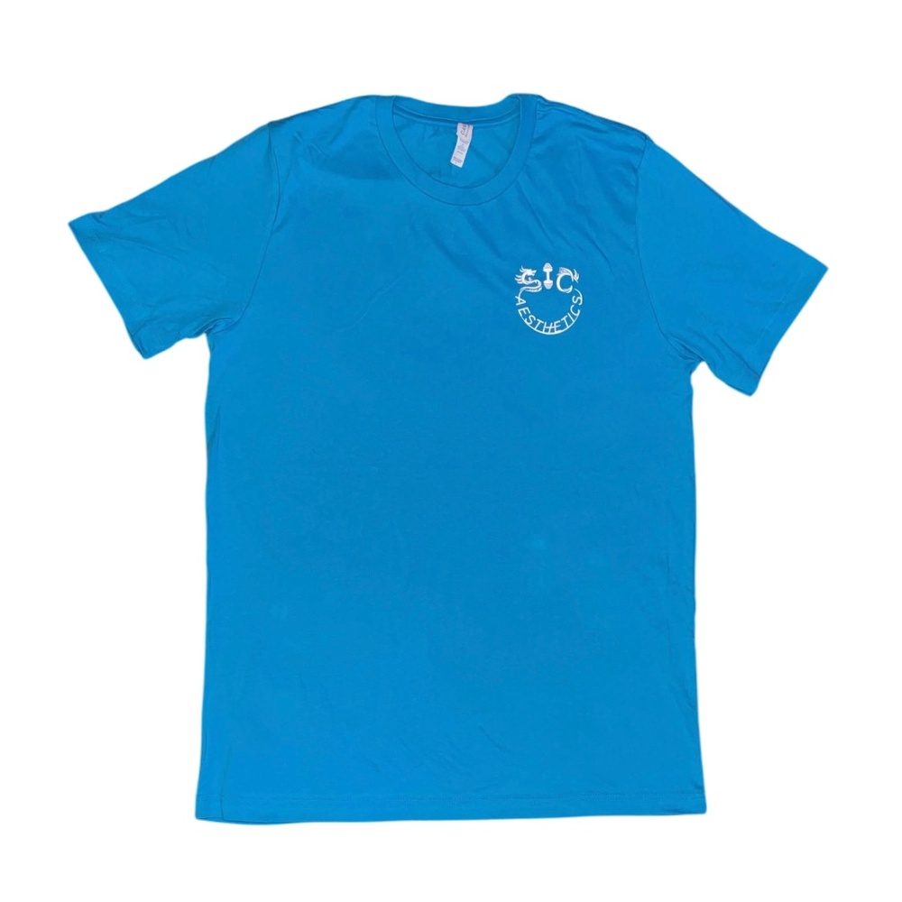 SIC Aesthetics Mens Crew Neck T Shirt (Choose Color & Size Variation)